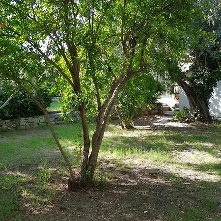 Lägenhetshotell Paralies Resort Skiathos stad