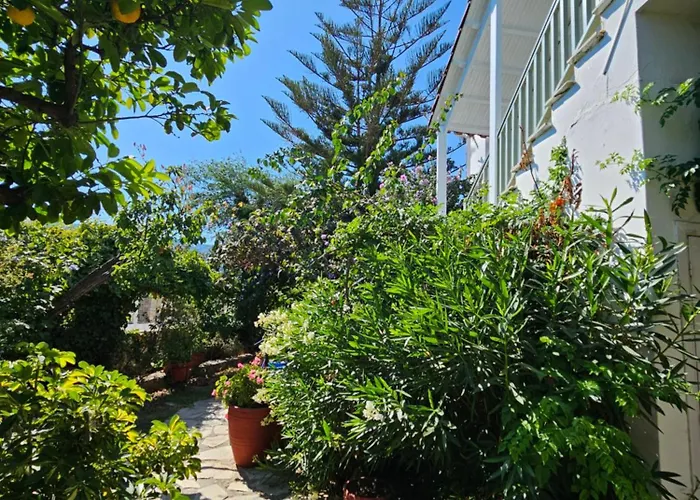 Aparthotel Paralies Skiathos Town