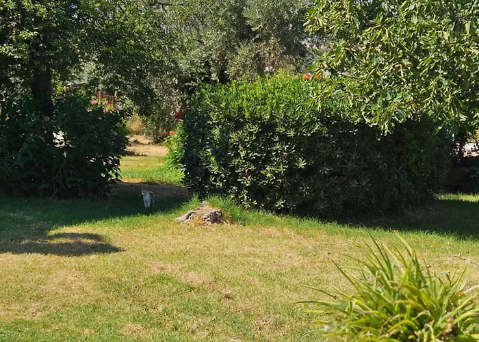 Paralies Aparthotel 3*